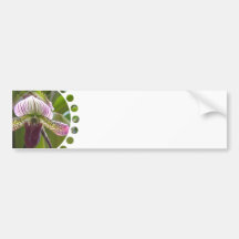 Unique Orchid Bumper Sticker