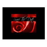 Unique Save The Date Card postcards