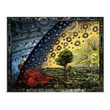 Universum Postcards