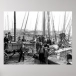 Unloading Oysters Print