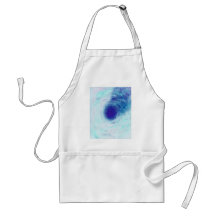 Untitled Creation Apron