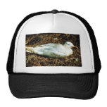 Untitled Mesh Hats