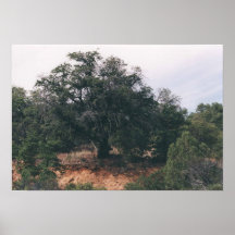 untitled poster
