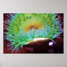 Untitled Posters