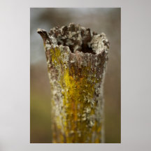 untitled print