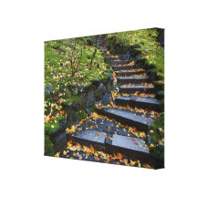 Up the Winding Stairs Canvas Print