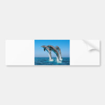 Up Up Up Dolphins Bumper Sticker