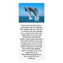 Up Up Up Dolphins Custom Rack Card