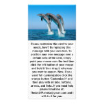 Up Up Up Dolphins Photo Cards
