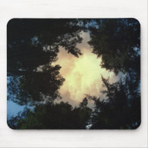 upon the forest floor mouse pad