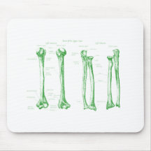 Upper Limb Green Mousepads