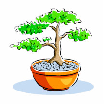 Upright Bonsai Orange Bowl Graphic Image Photo Sculptures