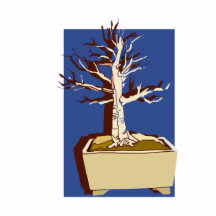 Upright Bonsai Trimmed Against Blue Back Cut Outs
