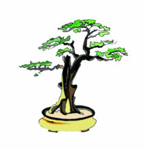 Upright Deadwood Bonsai Green Leaves Photo Cutouts
