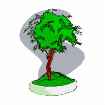Upright Young Bonsai Graphic Image Design Photo Cutout