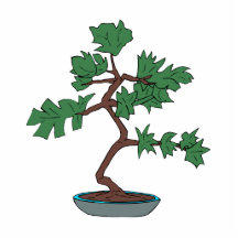 Upright young bonsai graphic photo cut out