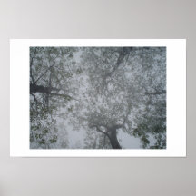 upward gaze print
