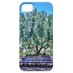 Urban Tree and Waterfall iPhone 5 case
