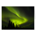 USA, Alaska, Chena Hot Springs. Aurora Borealis 2 Greeting Cards