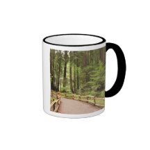 USA, California, Marin County, Muir Woods Mugs