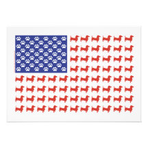 USA Dachshund Announcements