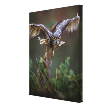 USA, Georgia, Pine Mountain, Callaway Gardens. Stretched Canvas Print