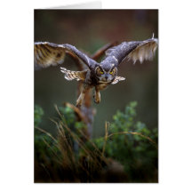 USA, Georgia, Pine Mountain, Callaway Gardens. Card