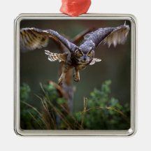 USA, Georgia, Pine Mountain, Callaway Gardens. Ornaments