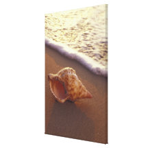 USA, Hawaii, Maui, Kihei, Evening light on Gallery Wrap Canvas