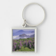 USA, Oregon, Nesika Beach. Lupine and Oregon Keychains