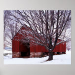 USA, Virginia, Fairfax County, Barn and Maple Posters