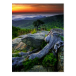 USA, Virginia, Shenandoah National Park. Postcard