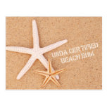 USDA Certified Beach Bum Post Cards