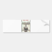 USSR CCCP Cold War Soviet Union Propaganda Posters Bumper Stickers
