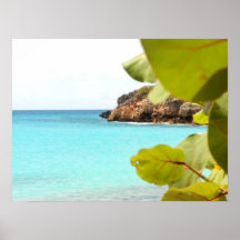 Uva de Playa Posters