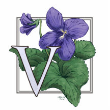 V for Violets Flower Monogram Photo Cutout