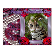 val-bengal-cat-00073-6x4 postcard