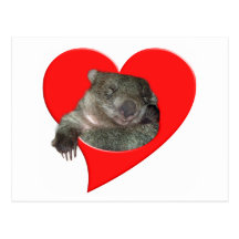 Valentine's Day Gifts, Wombat Love! Post Card