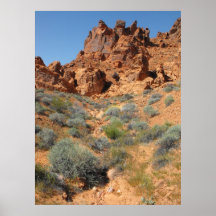 Valley of Fire, Nevada Print