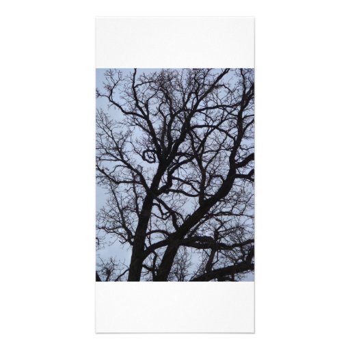 Vampire Tree Photo Greeting Card