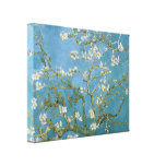 Van Gogh Blossoming Almond Tree Vintage Fine Art Gallery Wrap Canvas