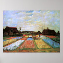 Van Gogh Bulb Fields Holland (F186) Fine Art Posters