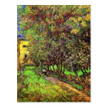 Van Gogh Garden Of Saint-Paul Hospital Postcard