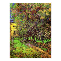 Van Gogh Garden Of Saint-Paul Hospital Postcard
