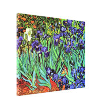 Van Gogh Irises Canvas Prints