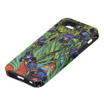 Van Gogh Irises, Vintage Post Impressionism Art