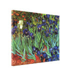 Van Gogh Irises, Vintage Post Impressionism Art Stretched Canvas Prints