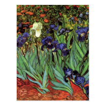 Van Gogh Irises, Vintage Post Impressionism Art Postcard