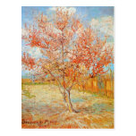 Van Gogh Pink Peach Tree in Blossom Postcard