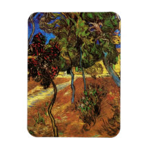Van Gogh Trees in the Garden, Saint-Paul Hospital Rectangular Magnets